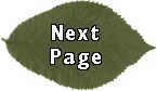 Go to next page